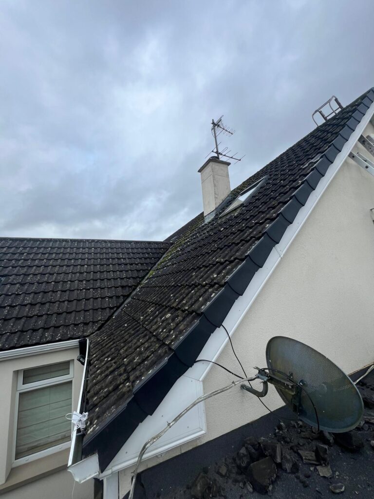 tiled roof condition before roof repair.jpg